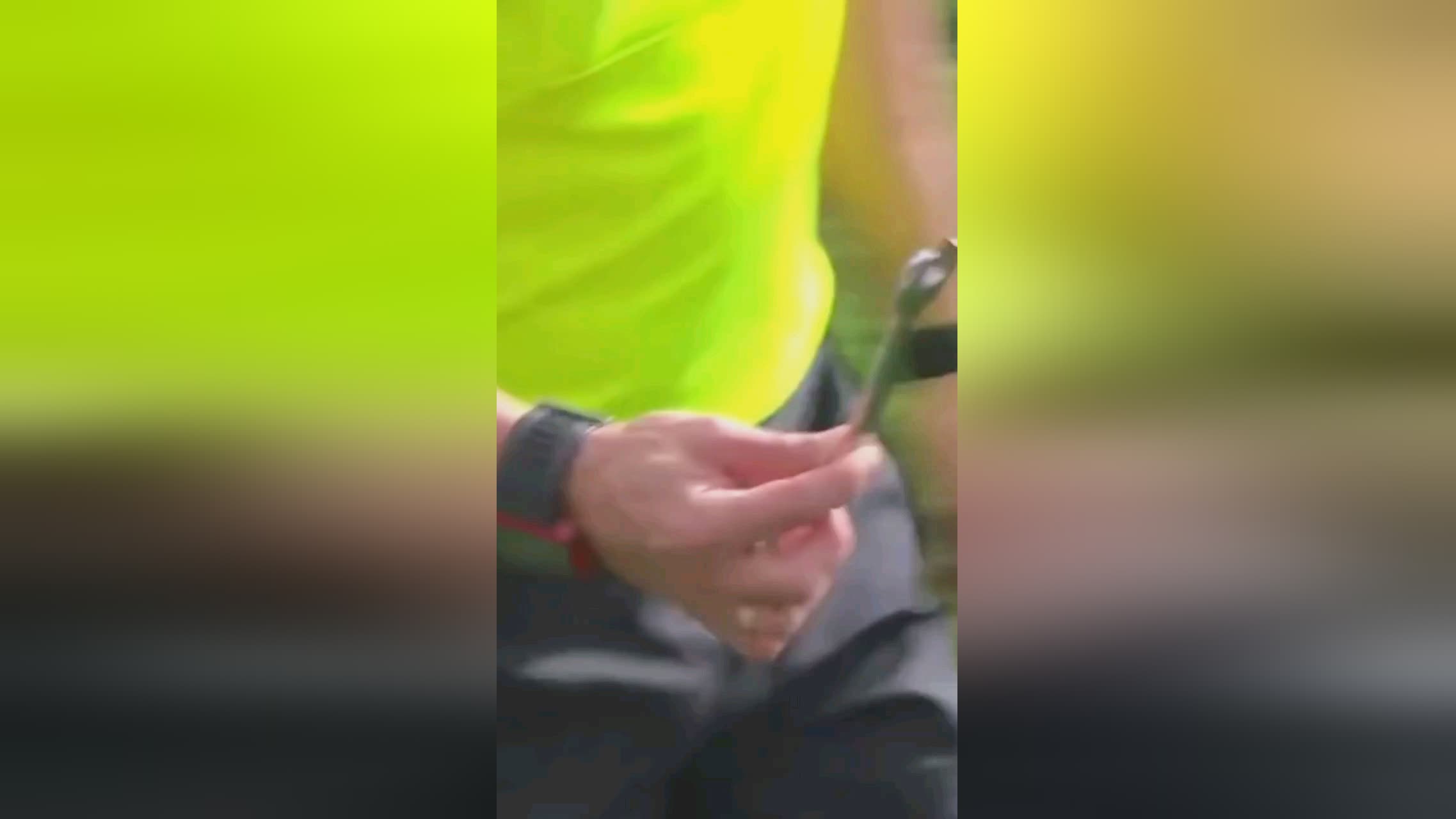 追巴萨